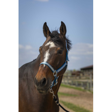 Halster Norton Nylon Soft Turkoois Blauw