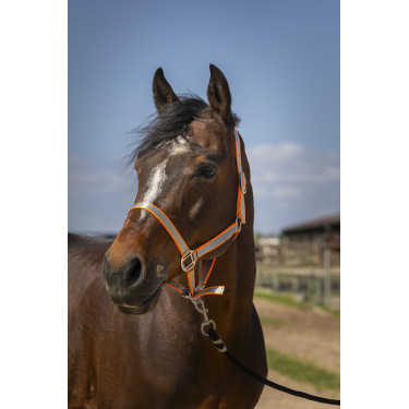 Halster Norton Nylon Soft Oranje