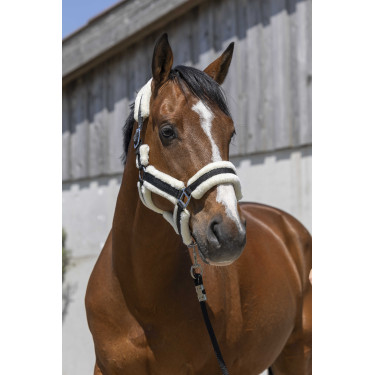 Halster Norton Cosy Zwart Halster Norton Cosy Zwart