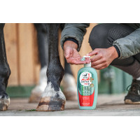 Verfrissende Gel Leovet Aloe Vera