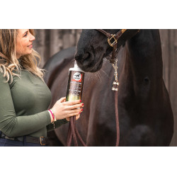 Aanvullend voeder Leovet Elixir Bronches siroop