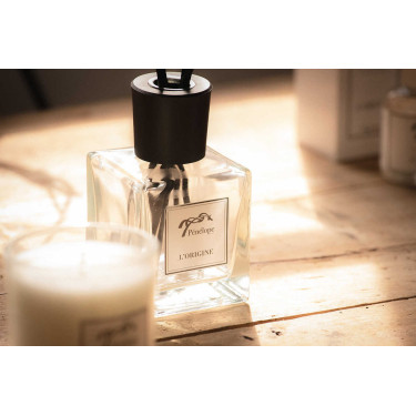 Auto-diffuser De oorsprong Pénélope Auto-diffuser De oorsprong Pénélope