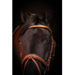 Bridon Pénélope Elegantie Cognac Bruin