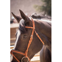 Bridon Pénélope Elegantie