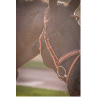 Bridon Pénélope Elegantie