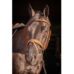 Bridon Pénélope Elegantie Cognac Bruin