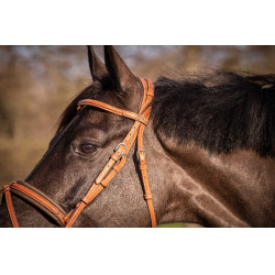 Bridon Pénélope Elegantie Cognac Bruin