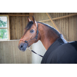 Paddock Sports Light Mesh Shirt Zwart