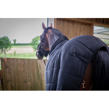 Onderdeken Paddock Sports Underblancket Zwart Onderdeken Paddock Sports Underblancket Zwart