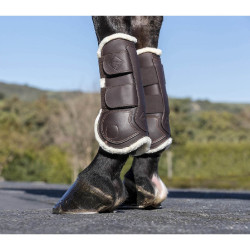 LeMieux Capella Comfort beenkappen LeMieux Capella Comfort beenkappen