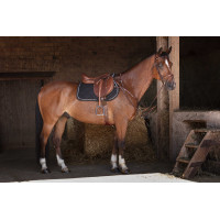 Jachtmartingaal Eric Thomas Hybrid Zwart