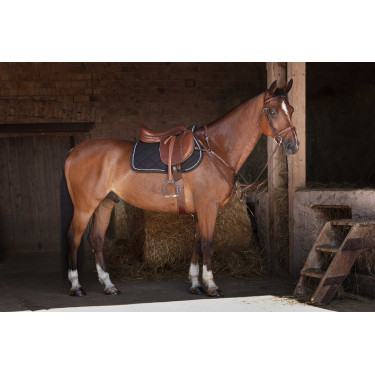 Jachtmartingaal Eric Thomas Hybrid Havana Bruin