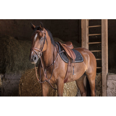 Jachtmartingaal Eric Thomas Hybrid Havana Bruin