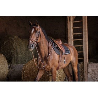 Jachtmartingaal Eric Thomas Hybrid Havana Bruin