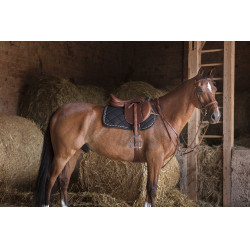 Jachtmartingaal Eric Thomas Hybrid Havana Bruin