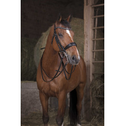 Norton Pro teugels 16 mm Zwart