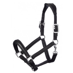 Halster LeMieux Anatomic Halster LeMieux Anatomic