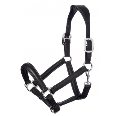 Halster LeMieux Anatomic Halster LeMieux Anatomic
