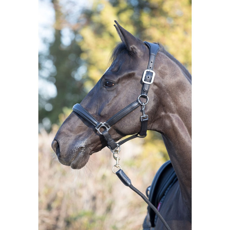 Halster LeMieux Anatomic