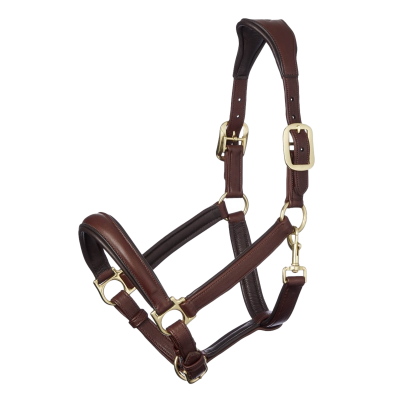 Halster LeMieux Anatomic Bruin