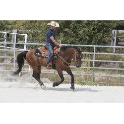 Selle Westride door Franck Perret Aurora Hazelnoot Bruin Selle Westride door Franck Perret Aurora Hazelnoot Bruin