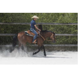 Selle Westride door Franck Perret Aurora Hazelnoot Bruin Selle Westride door Franck Perret Aurora Hazelnoot Bruin