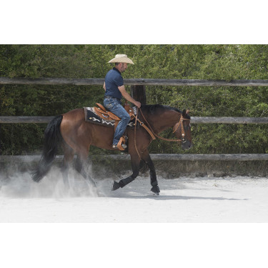 Selle Westride door Franck Perret Aurora Hazelnoot Bruin Selle Westride door Franck Perret Aurora Hazelnoot Bruin