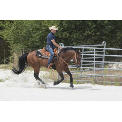 Selle Westride door Franck Perret Aurora Hazelnoot Bruin Selle Westride door Franck Perret Aurora Hazelnoot Bruin