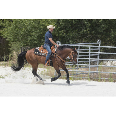 Selle Westride door Franck Perret Aurora Hazelnoot Bruin Selle Westride door Franck Perret Aurora Hazelnoot Bruin