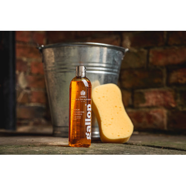Gallop® Shampoo Carr & Day & Martin Hazelnoot en palomino
