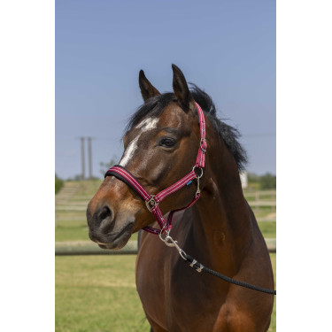 Halster Norton 4lines Bordeaux Halster Norton 4lines Bordeaux