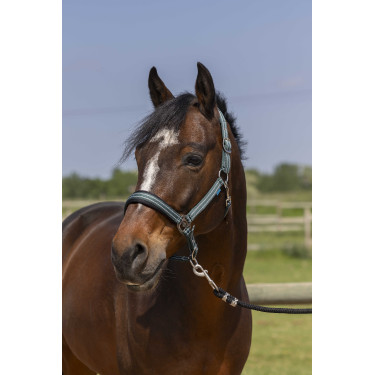 Halster Norton 4lines Donkergroen