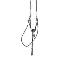 Martin collier Pénélope Zwart Martin collier Pénélope Zwart