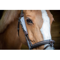 Australische oogkleppen Pénélope Havana Bruin