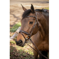 Bridon Pénélope Smoothie Havana Bruin