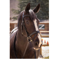 Bridon Pénélope Smoothie Havana Bruin