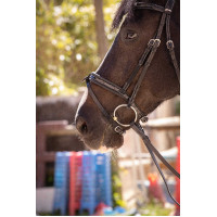 Bridon Pénélope Smoothie Havana Bruin