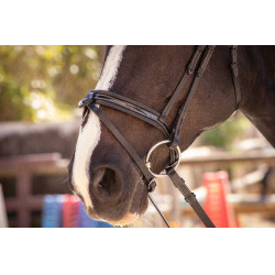 Bridon Pénélope Smoothie Zwart Bridon Pénélope Smoothie Zwart