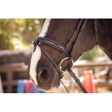 Bridon Pénélope Smoothie Zwart Bridon Pénélope Smoothie Zwart