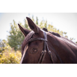 Bridon Pénélope Smoothie Zwart Bridon Pénélope Smoothie Zwart