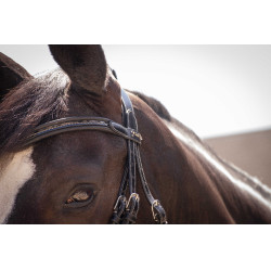 Bridon Pénélope Smoothie Zwart Bridon Pénélope Smoothie Zwart