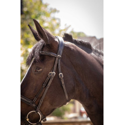 Bridon Pénélope Smoothie Zwart Bridon Pénélope Smoothie Zwart