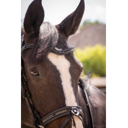 Bridon Pénélope Smoothie Zwart Bridon Pénélope Smoothie Zwart