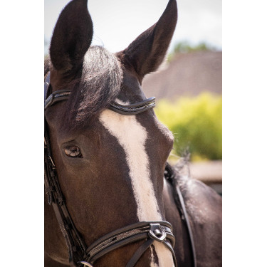 Bridon Pénélope Smoothie Zwart Bridon Pénélope Smoothie Zwart