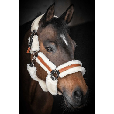 Halster Pénélope Soft Zwart / beige