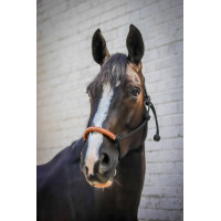 Ethologisch halster Pénélope Amerikaans Zwart