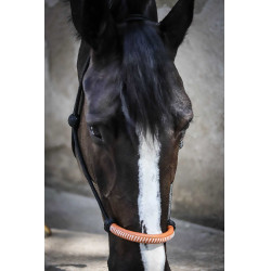 Ethologisch halster Pénélope Amerikaans Zwart