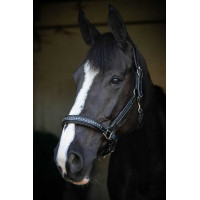 Lederen halster Pénélope Point Sellier Hazelnoot Bruin Lederen halster Pénélope Point Sellier Hazelnoot Bruin