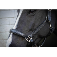 Lederen halster Pénélope Point Sellier Zwart Lederen halster Pénélope Point Sellier Zwart