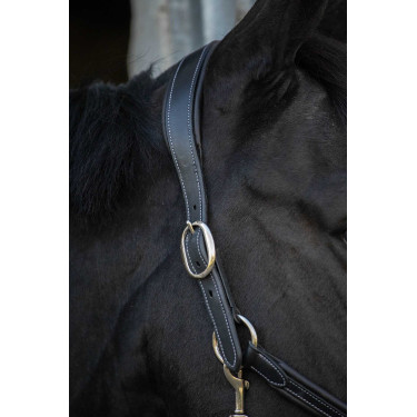 Lederen halster Pénélope Point Sellier Zwart